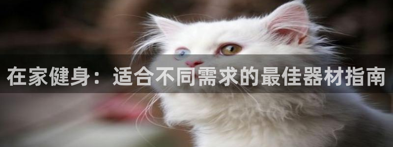 意昂体育3平台是正规平台吗知乎：在家健身：适合不同需