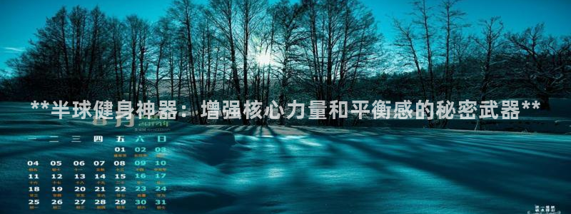 意昂3科技：**半球健身神器：增强核心力量和平衡感的