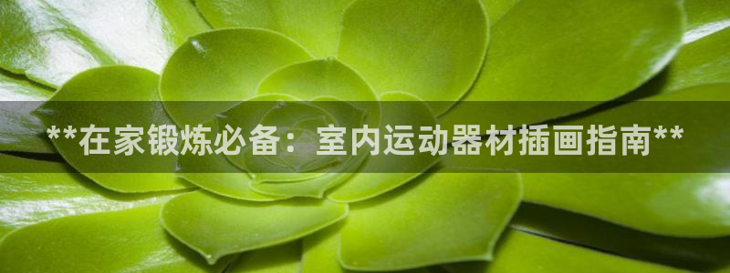意昂集团官网：**在家锻炼必备：室内运动器材插画指南