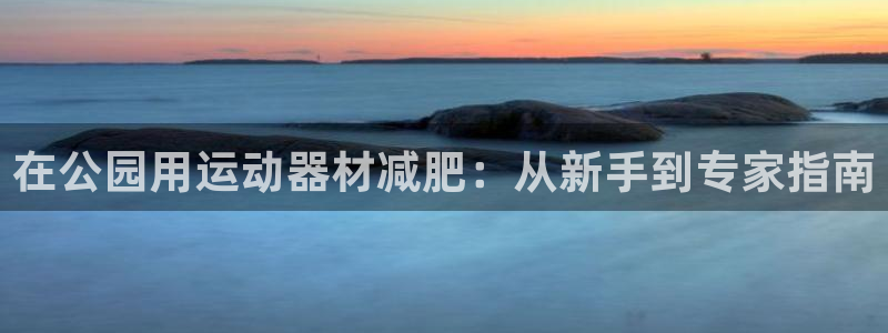 意昂体育3招商电话号码查询是多少：在公园用运动器材减