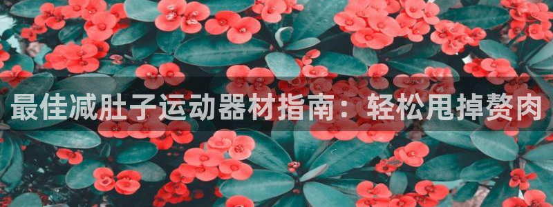 意昂3官网：最佳减肚子运动器材指南：轻松甩掉赘肉