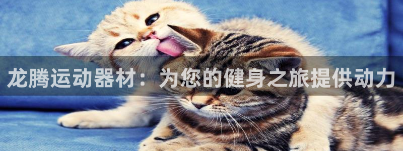 意昂体育3平台注册要钱吗：龙腾运动器材：为您的健身之