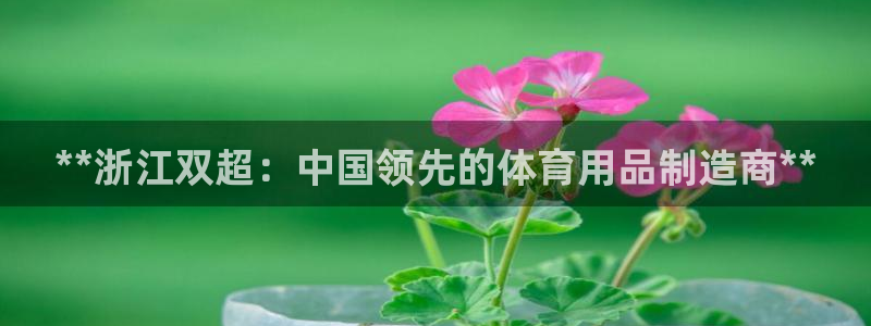 意昂体育3平台：**浙江双超：中国领先的体育用品制造