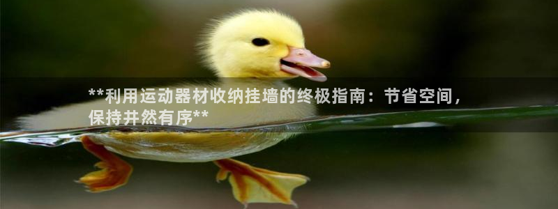 意昂3娱乐网站：**利用运动器材收纳挂墙的终极指南：