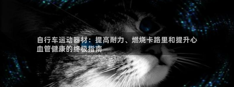 意昂体育3招商电话是多少啊：自行车运动器材：提高耐力