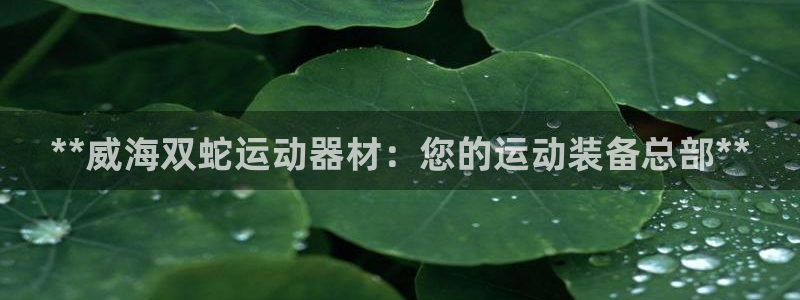 意昂3集团E.ON：**威海双蛇运动器材：您的运动装