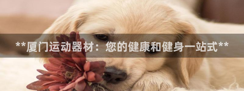 意昂3集团官网首页网址：**厦门运动器材：您的健康和