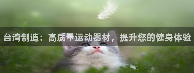 意昂体育3招商：台湾制造：高质量运动器材，提升您的健