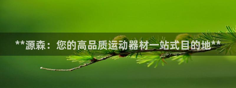 意昂体育3是干嘛的公司：**源森：您的高品质运动器材