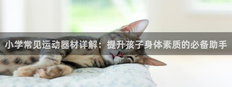 意昂体育3招商电话号码是多少啊：小学常见运动器材详解