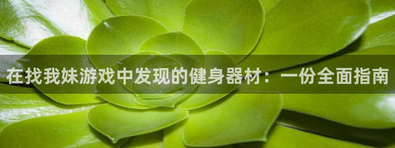 意昂3官方：在找我妹游戏中发现的健身器材：一份全面指