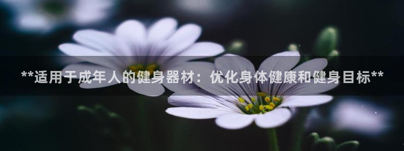 意昂3集团E.ON：**适用于成年人的健身器材：优化
