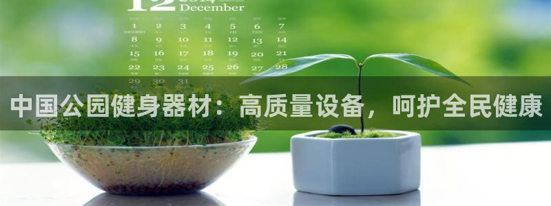 意昂3集团E.ON：中国公园健身器材：高质量设备，呵