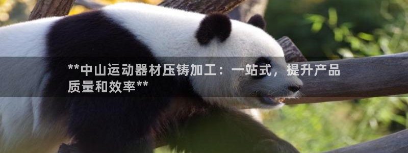 意昂体育3招商电话：**中山运动器材压铸加工：一站式