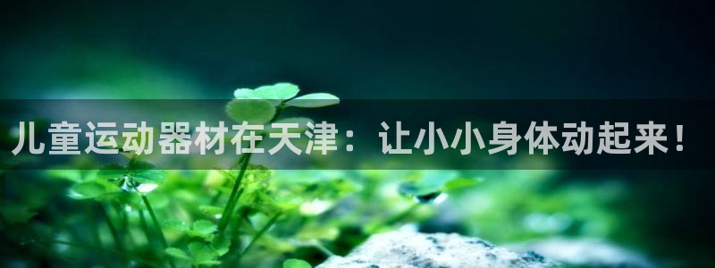 意昂体育3平台注册流程视频：儿童运动器材在天津：让小