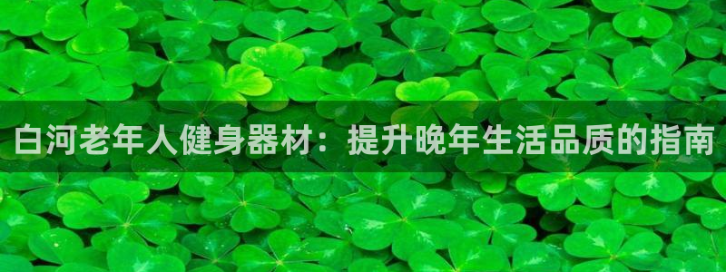 意昂3五金厂：白河老年人健身器材：提升晚年生活品质的