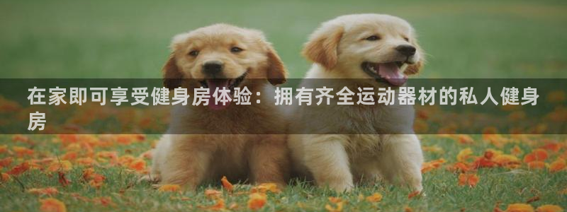 意昂体育3招商电话号码查询：在家即可享受健身房体验：