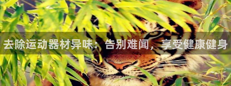 意昂3娱乐网站：去除运动器材异味：告别难闻，享受健康