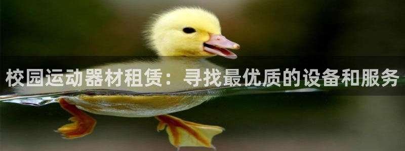 意昂3娱乐是那个系列的台子：校园运动器材租赁：寻找最