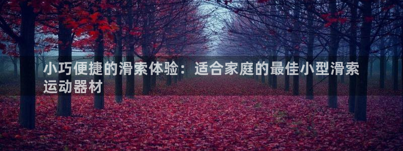 意昂体育3招商电话地址：小巧便捷的滑索体验：适合家庭