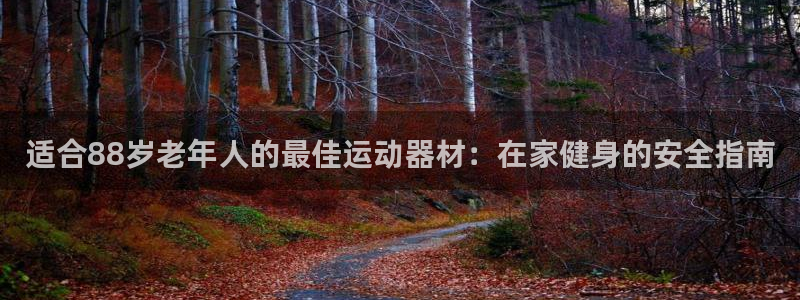 意昂体育3平台APP：适合88岁老年人的最佳运动器材