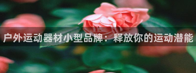 意昂体育3平台是正规平台吗安全吗：户外运动器材小型品