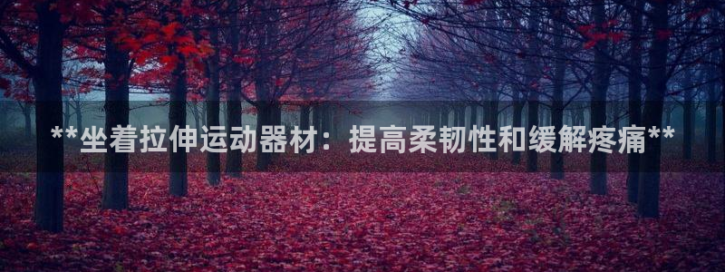 意昂3开户：**坐着拉伸运动器材：提高柔韧性和缓解疼