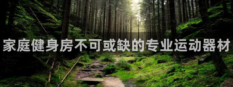 意昂3集团简介：家庭健身房不可或缺的专业运动器材
