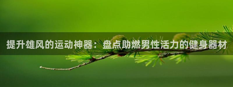 意昂体育3平台注册要钱吗：提升雄风的运动神器：盘点助