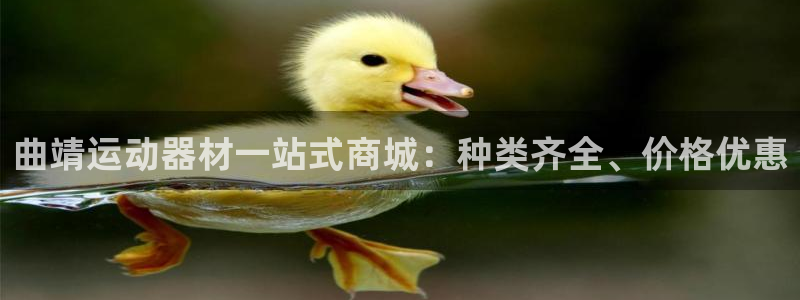 意昂3五金厂：曲靖运动器材一站式商城：种类齐全、价格