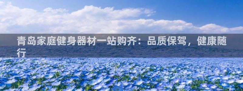 意昂3娱乐网站：青岛家庭健身器材一站购齐：品质保驾，