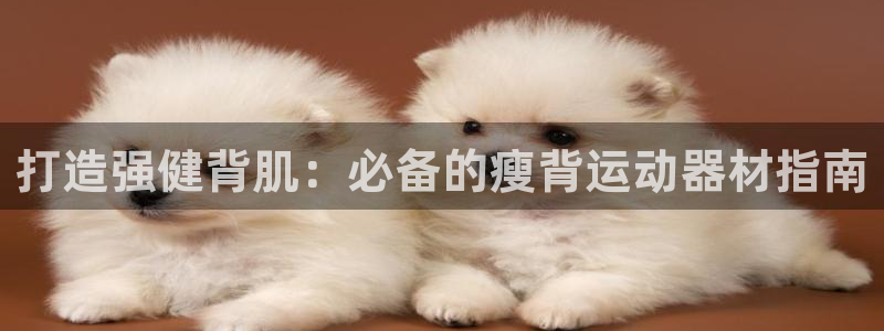 海南意昂体育3发展怎么样：打造强健背肌：必备的瘦背运
