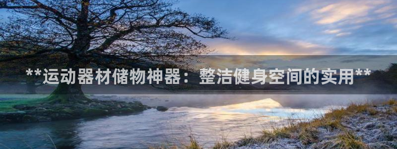 海南意昂体育3发展怎么样：**运动器材储物神器：整洁