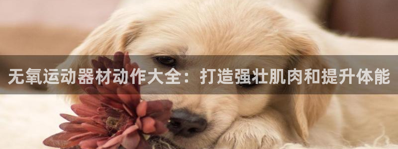 意昂3集团logo：无氧运动器材动作大全：打造强壮肌