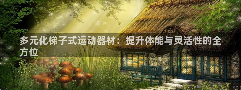 意昂3神州：多元化梯子式运动器材：提升体能与灵活性的