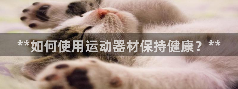 意昂体育3招商电话号码查询是多少：**如何使用运动器
