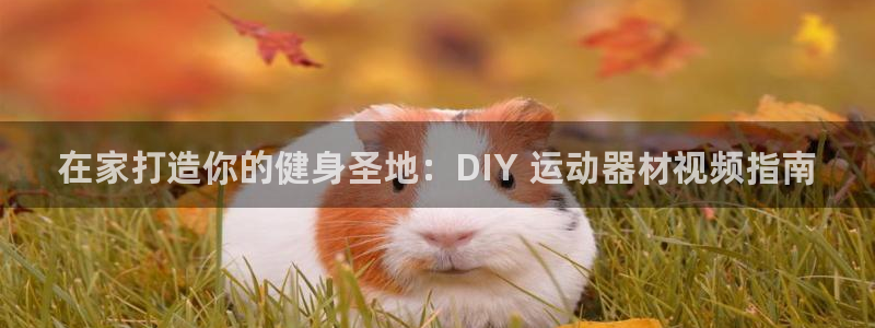 意昂3集团E.ON：在家打造你的健身圣地：DIY 运