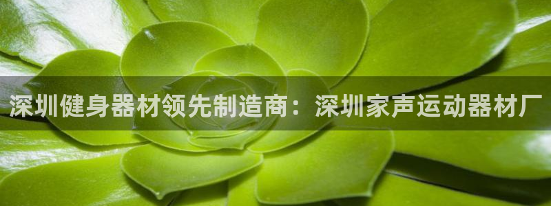 意昂3娱乐40996：深圳健身器材领先制造商：深圳家