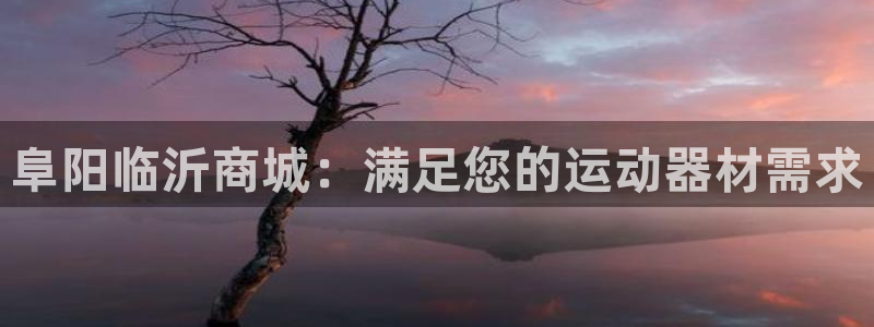 意昂3集团简介：阜阳临沂商城：满足您的运动器材需求