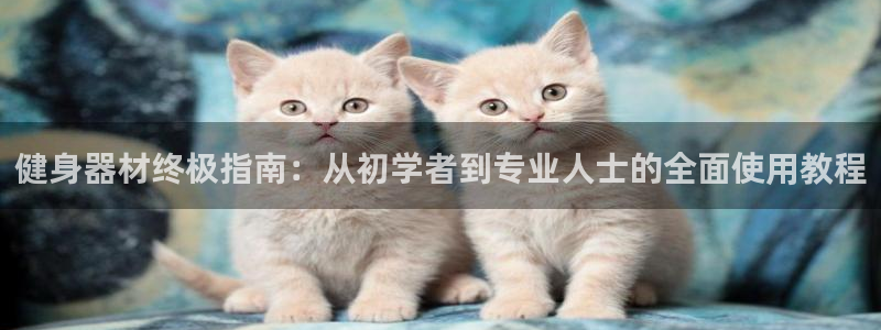 意昂体育3平台假的吗是真的吗：健身器材终极指南：从初