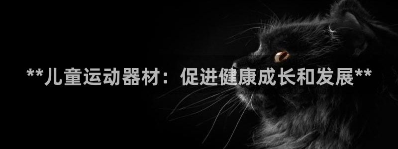 意昂体育3招商电话：**儿童运动器材：促进健康成长和