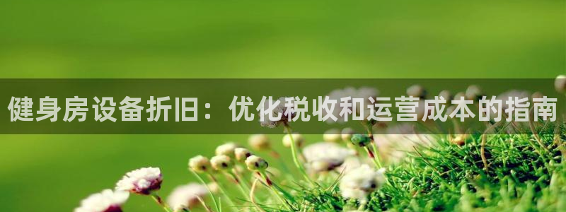 意昂3科技：健身房设备折旧：优化税收和运营成本的指南