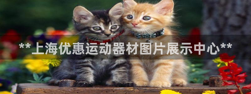 意昂3娱乐平台：**上海优惠运动器材图片展示中心**