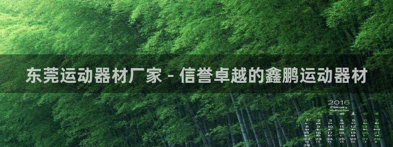 意昂3神州：东莞运动器材厂家 - 信誉卓越的鑫鹏运动