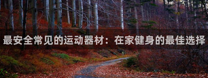 意昂体育3招商电话号码是多少：最安全常见的运动器材：