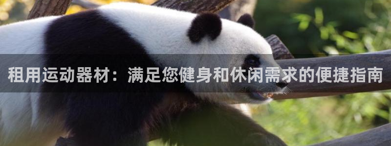 意昂体育3招商电话地址：租用运动器材：满足您健身和休