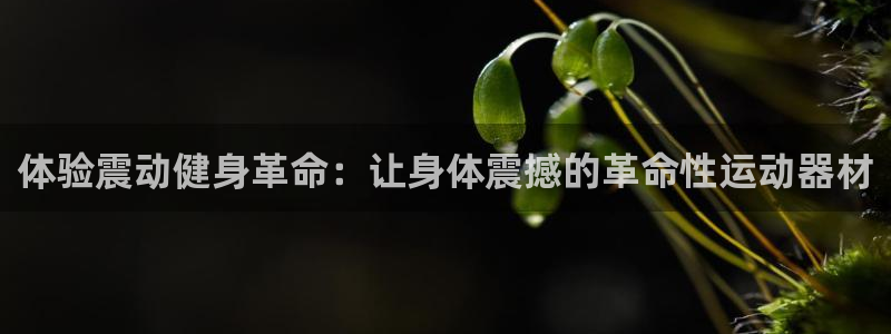 意昂体育3招商电话号码：体验震动健身革命：让身体震撼