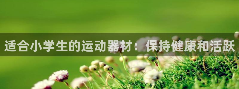 意昂体育3注册：适合小学生的运动器材：保持健康和活跃