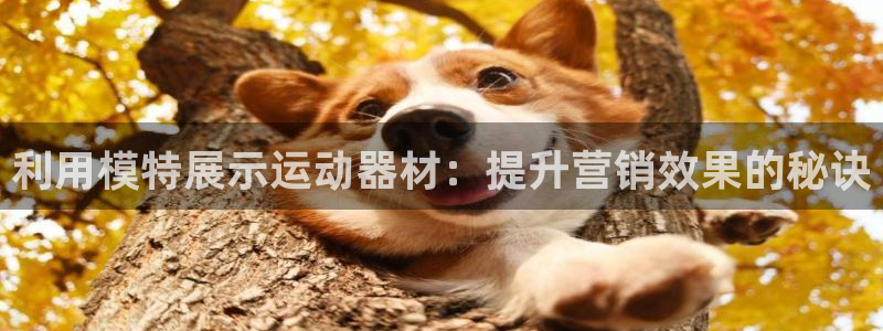 意昂3娱乐代理怎么样：利用模特展示运动器材：提升营销