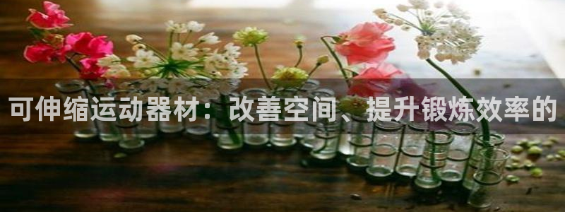 意昂3新能源：可伸缩运动器材：改善空间、提升锻炼效率